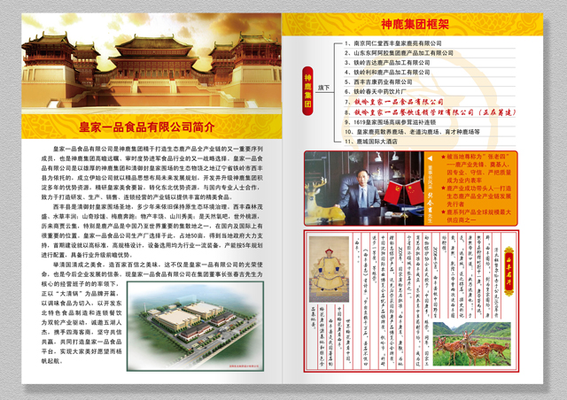 画册设计