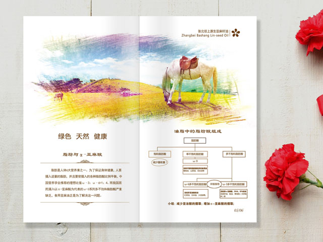 亚麻籽油 宣传画册设计