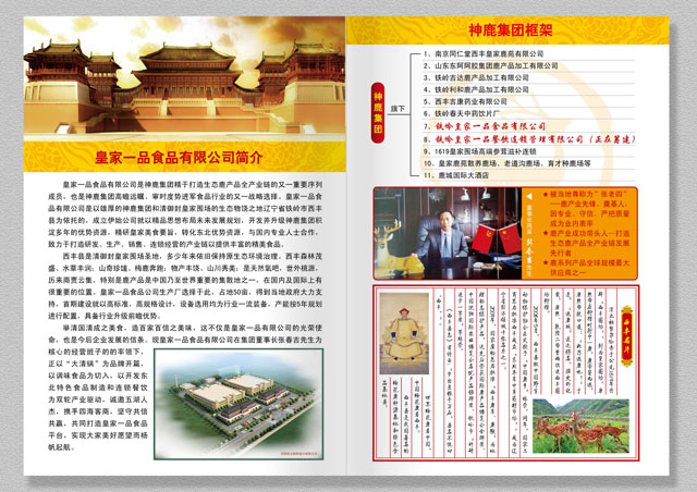大清锅 宣传册设计